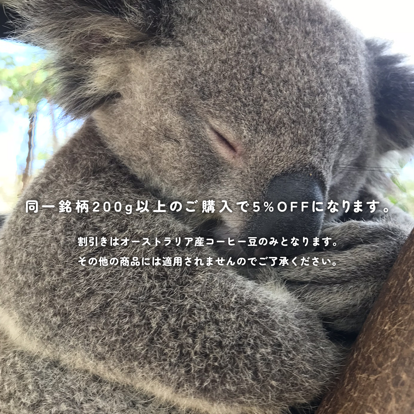 豪州珈琲 Z ブレンド