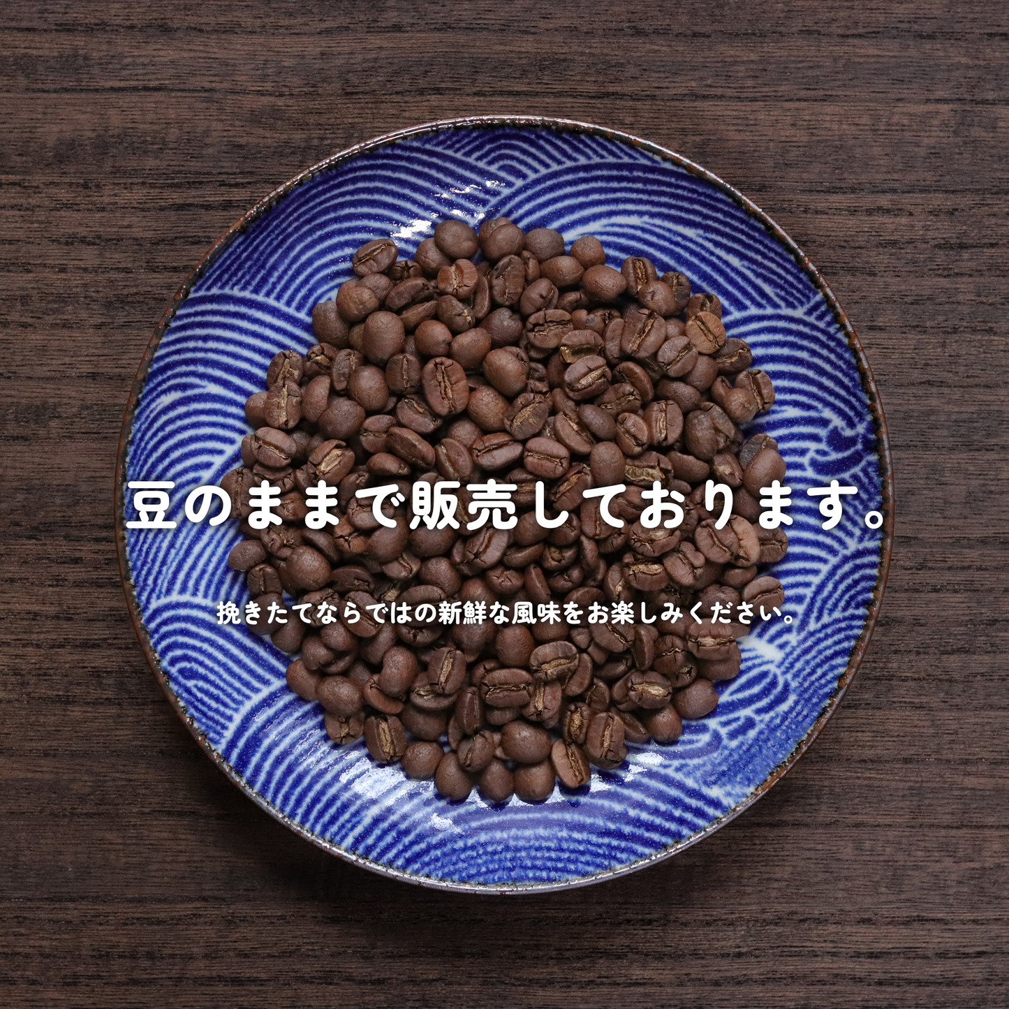 豪州珈琲 Z ウォッシュト